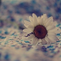 如何写党员个人的述职报告范文(四篇)