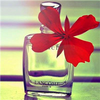 2025年8月公安干警入党转正申请书