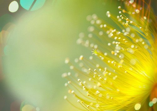 快递网点工作日记范文优选7篇