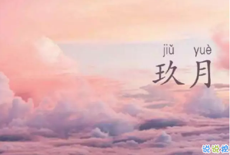 2025年大专生自我鉴定800字(5篇)