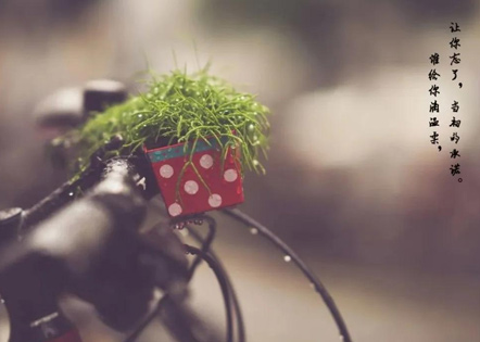 部队年终工作总结2025(推荐24篇)