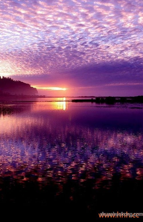 最新四年级语文下册教学工作总结免费(十五篇)