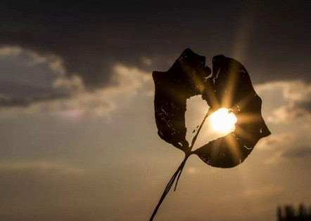 2025年农村荒地山地承租合同3篇(精选)