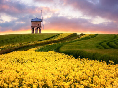 门诊半年工作总结(5篇)