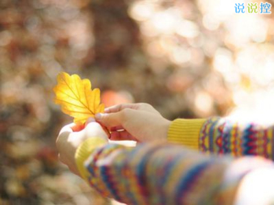 2025年学生学期自我鉴定结论(精选8篇)