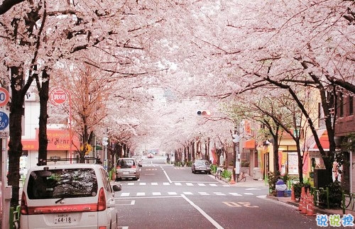 委托赔偿合同范本(实用10篇)