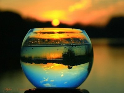 2025年科技创新作文500字(4篇)