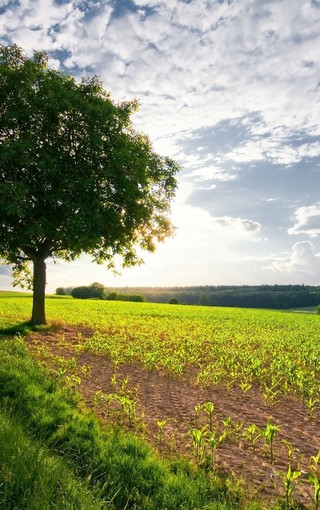 2025年《童年》读后感700字 《童年》读后感500字左右作文初一(6篇)