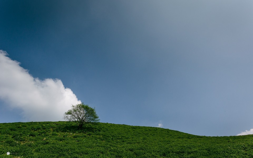 2025年专科毕业个人简历表格