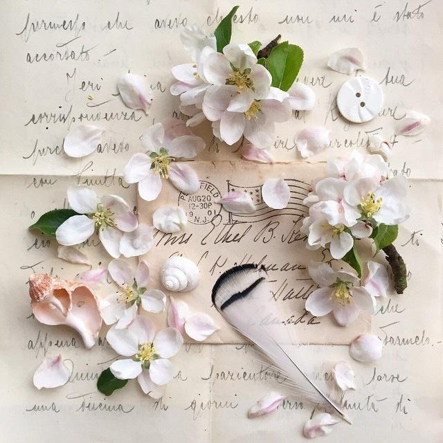 社区民警反诈工作总结(通用24篇)