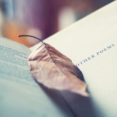 最新员工转正自我鉴定500字 邮政员工转正自我鉴定(七篇)