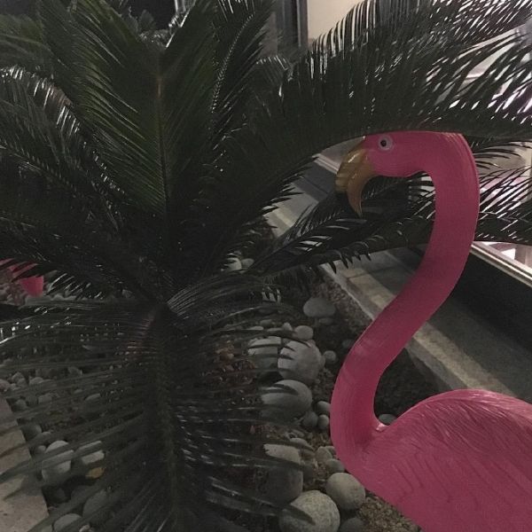 幼儿园开展交通安全教育活动总结 幼儿园交通安全工作汇报(四篇)